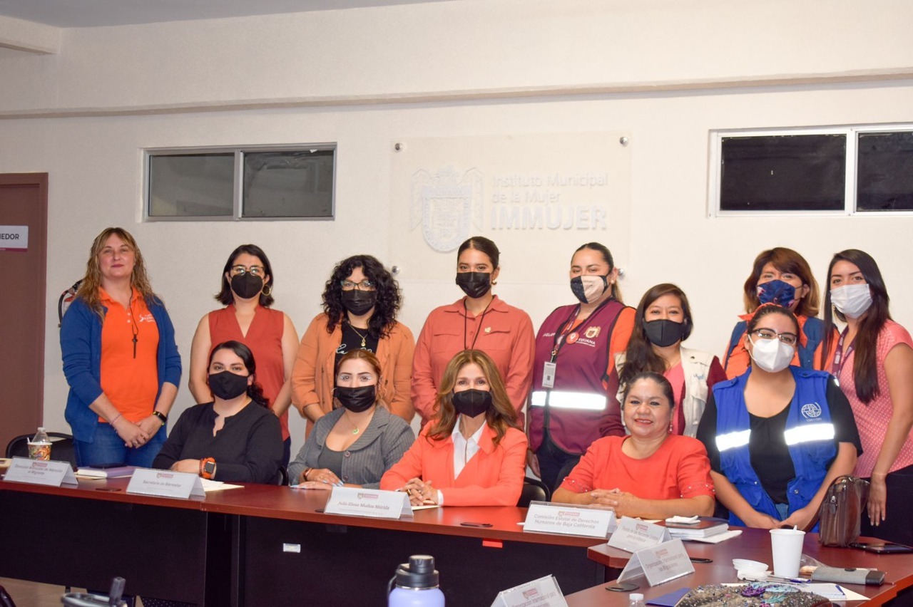 El Inmujer lleva a cabo la segunda mesa de trabajo por la eliminación de la violencia contra las mujeres