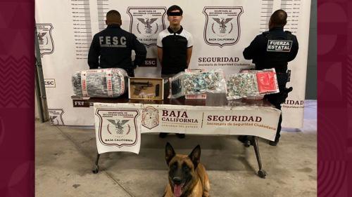 Se paseaba armado y con «mota» en Rosarito