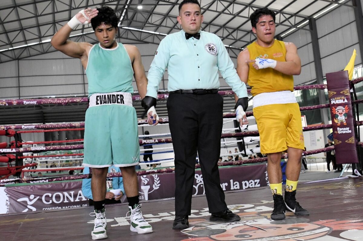 Baja California peleará por 3 medallas de oro en el boxeo popular ...