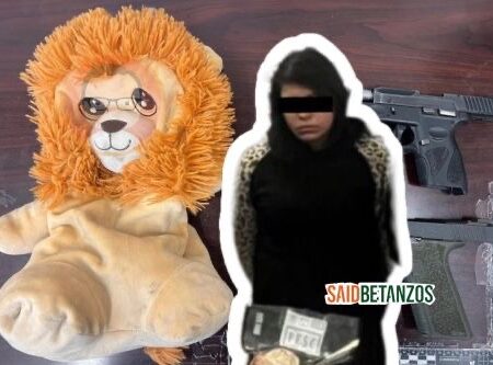 Ocultaba dos pistolas dentro de un muñeco de peluche