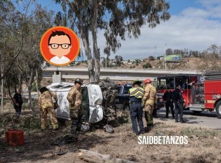 Auto vuelca en la Internacional, derriba un árbol y es abandonado
