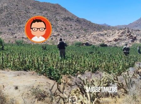 Destruye Ejército ocho plantíos y tres secaderos de mariguana en Ensenada