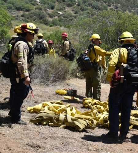 Participan Bomberos de Tijuana en ejercicio binacional forestal en San Diego