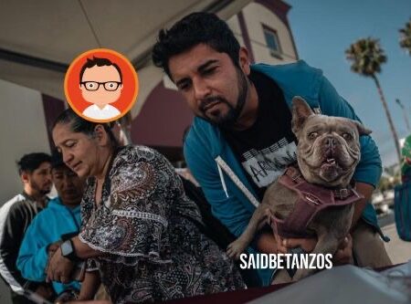 Buscan frenar abandono animal con jornada de adopción en Rosarito
