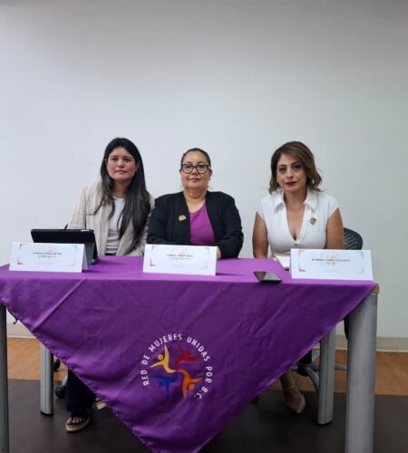 Red de Mujeres Unidas por BC pide fortalecer la protección infantil tras el caso del niño Vicente