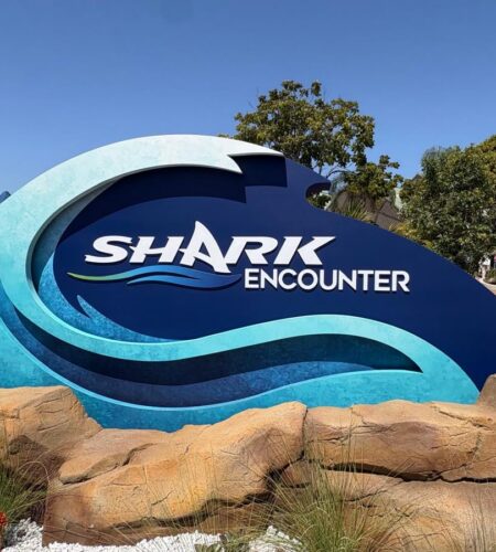 Shark Encounter reabre en SeaWorld San Diego con nuevas experiencias y especies