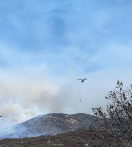 Bomberos en alerta por incendios en zonas naturales de Ensenada ante temporada de riesgo