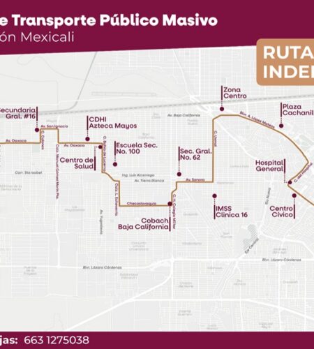 IMOS ofrece diversas opciones de transporte en Santorales y Condesa