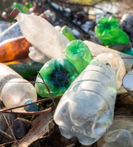 Llaman a la ciudadanía a practicar las 5 “R” para proteger el medio ambiente