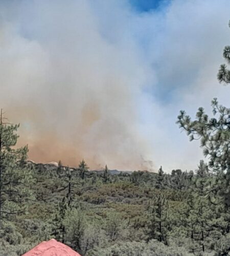 Incendio forestal en Sierra de Juárez continúa activo