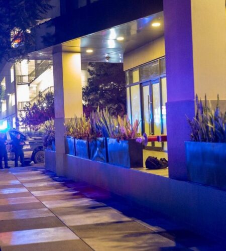 Dejan cabeza de cerdo y cartuchos frente a consultorios en la Zona Río