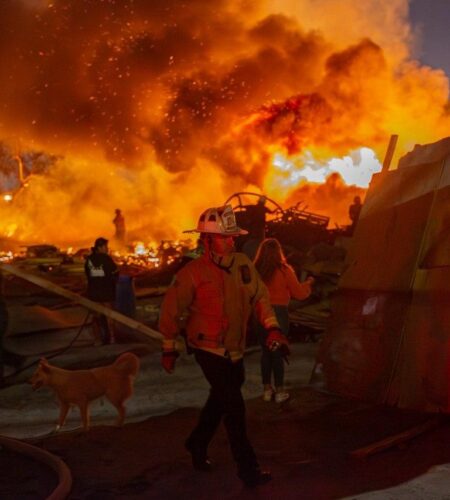 Incendio en tarimera de Maclovio Rojas moviliza a bomberos y vecinos