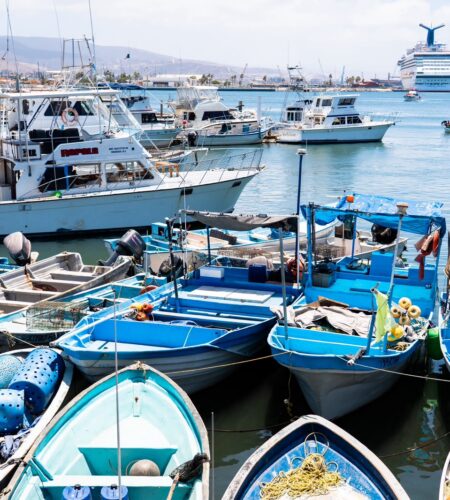 Torneos de pesca en Ensenada dejan derrama económica de hasta 4 millones de pesos