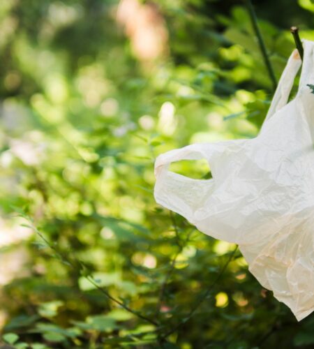 Baja California promueve día sin bolsas de plástico para proteger el medio ambiente