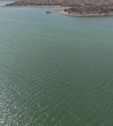 Vigilan la presa El Carrizo tras reporte de peces muertos