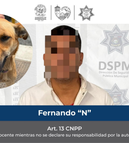 Detienen a hombre que golpeó a un perrito en Ensenada