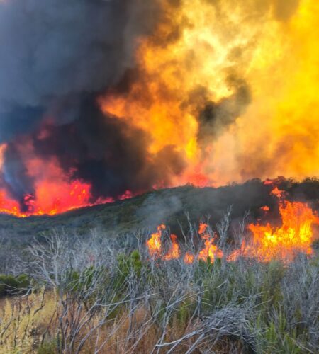 Avanza control del incendio en el Valle de la Trinidad; Bomberos reportan 40% de avance