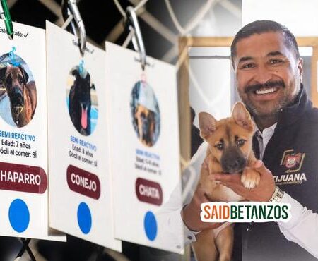 Exhorta Ramón Vázquez a adoptar a los 179 perros y gatos que están en Control Animal