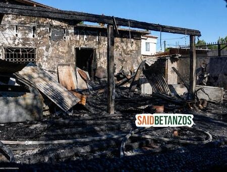 Mueren tres perros al incendiarse vivienda; rescatan a uno