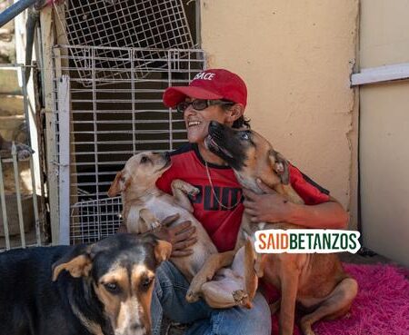 Rescatista pide agua para mantener a salvo a 74 perros en Tijuana