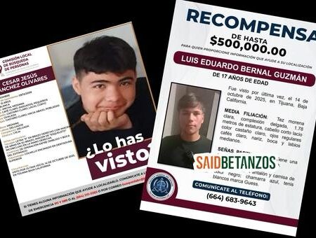 Restos encontrados en basurero de Rosarito son de dos menores; “La Abuela” ordenó asesinarlos