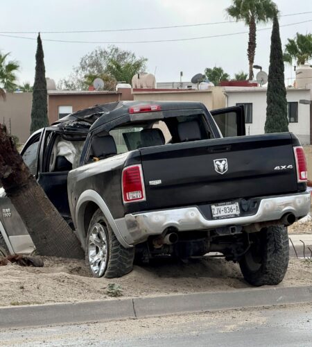 Conductor pierde el control y derriba palmera en la Vía Rápida Poniente
