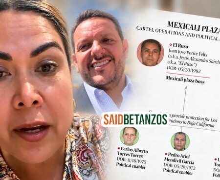Retienen por 12 horas EU a la exsenadora Alejandra León; cree es por los vínculos de Carlos Torres con el Cártel de Sinaloa