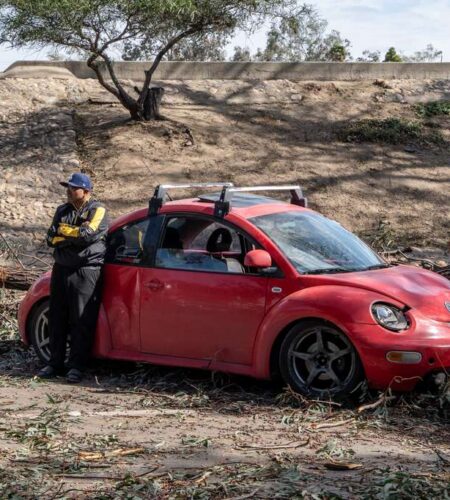 “Lo material se repone, la vida no”: conductor sale ileso tras caída de árbol en la Vía Rápida