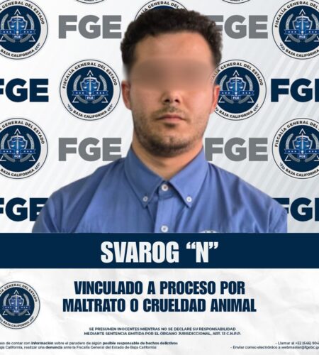 Vinculan a proceso a hombre por presunto maltrato animal en Ensenada