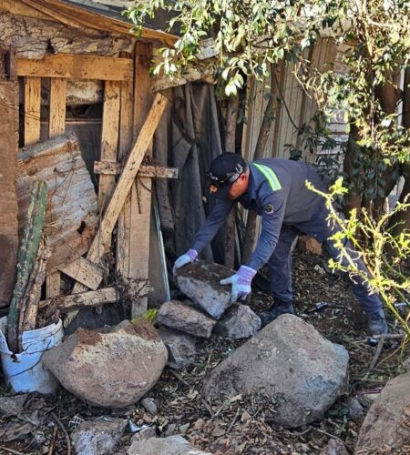 Gobierno municipal recolecta 75 toneladas de basura en tres delegaciones